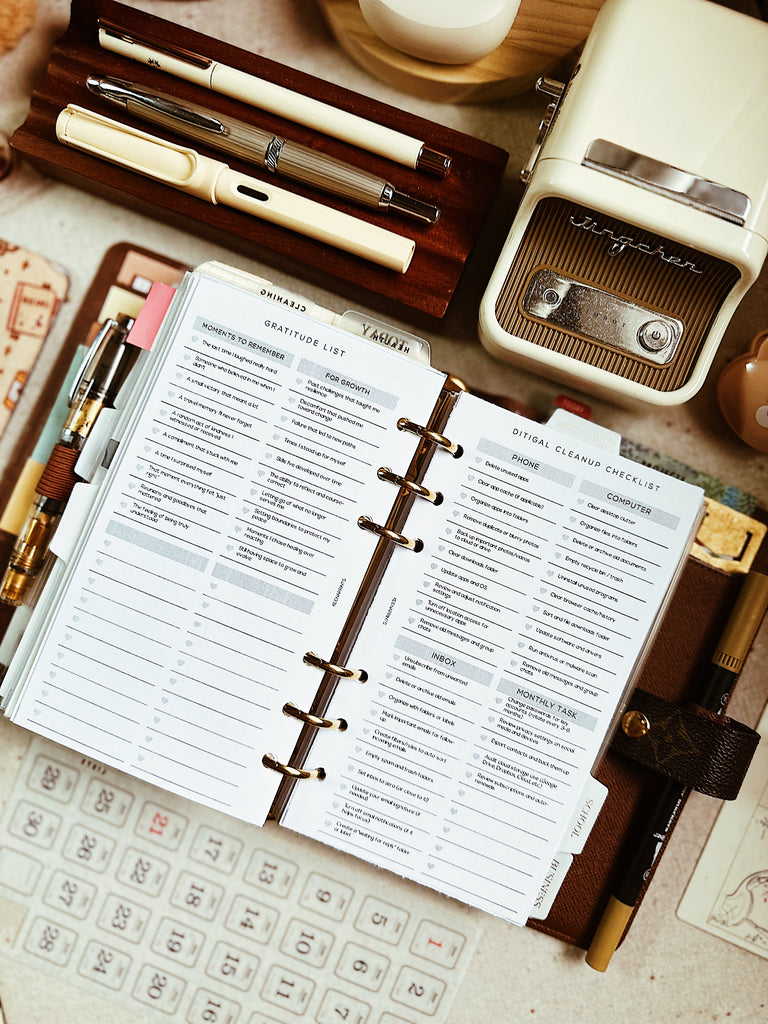 PP179 | DIGITAL CLEANUP CHECKLIST PLANNER PRINTABLE INSERT