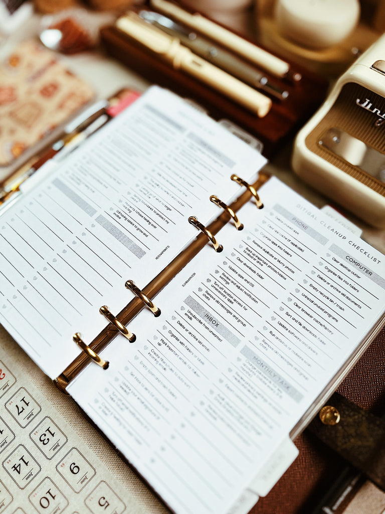 PP179 | DIGITAL CLEANUP CHECKLIST PLANNER PRINTABLE INSERT