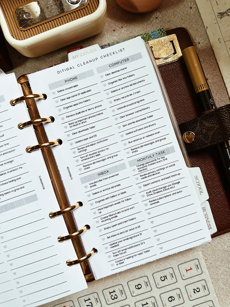 PP179 | DIGITAL CLEANUP CHECKLIST PLANNER PRINTABLE INSERT