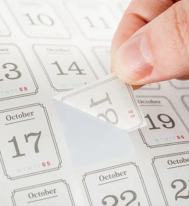 365 DAYS CALENDAR WASHI STICKERS | 12 SHEETS
