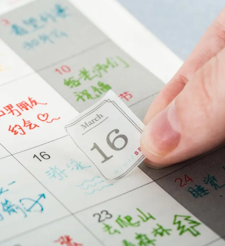365 DAYS CALENDAR WASHI STICKERS | 12 SHEETS