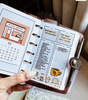 PP003 | GOALS PLANNING PLANNER PRINTABLE INSERT