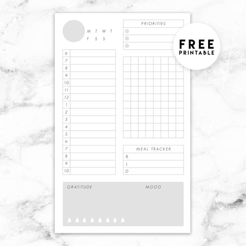 PP007 | MONTHLY OVERVIEW WITH TRACKER PLANNER PRINTABLE INSERT